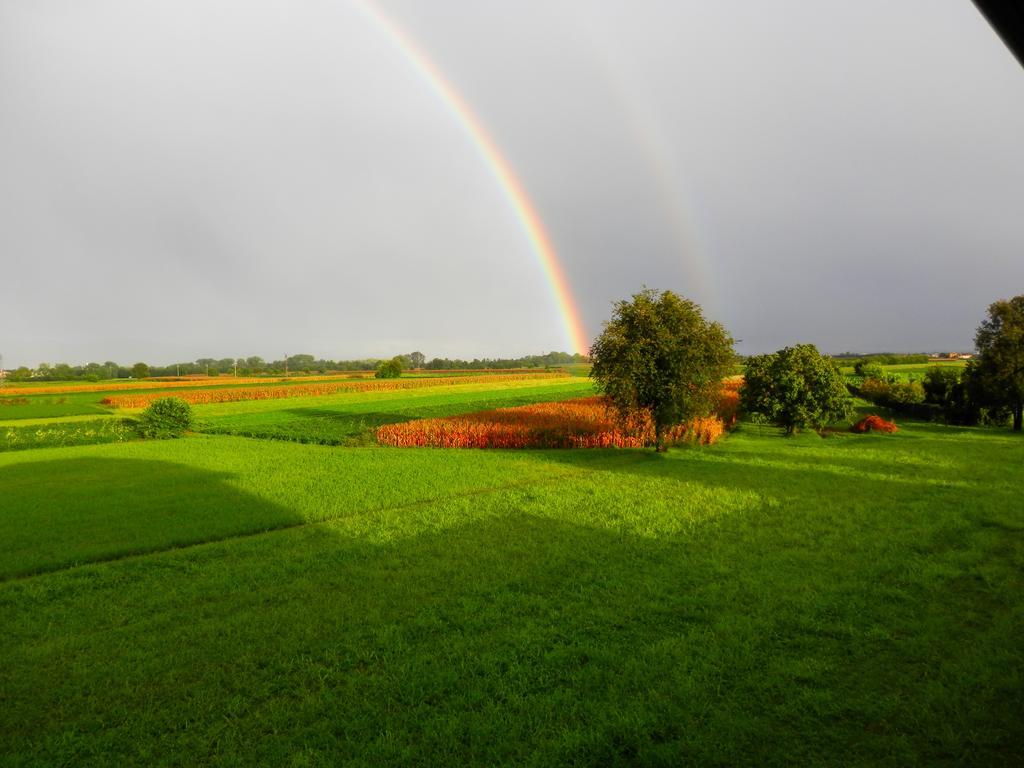 Agriturismo Cjargnei Panzió Povoletto Kültér fotó